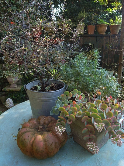 f0065604_21201163.jpg