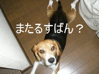 c0205806_13124538.jpg