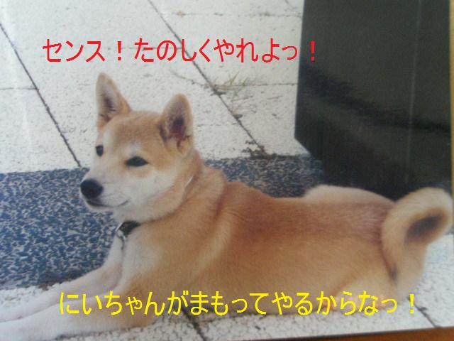 c0205806_13415510.jpg
