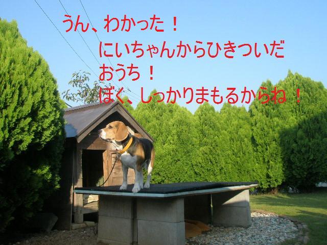 c0205806_13421522.jpg