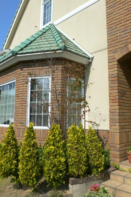 f0167007_1410180.jpg
