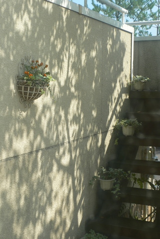 f0167007_16352033.jpg