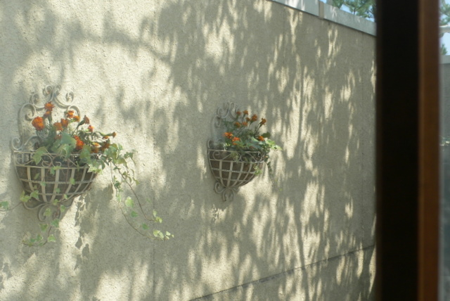 f0167007_16412363.jpg