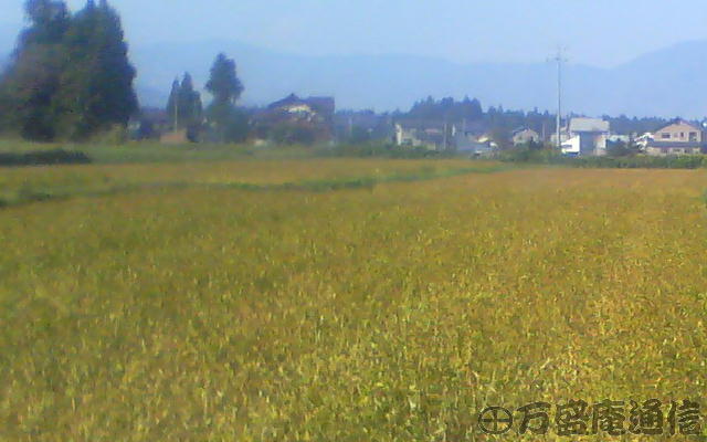 b0172209_9171655.jpg