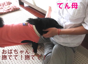 c0185516_2304190.jpg