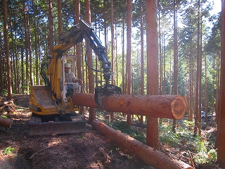 e0002820_6223859.jpg