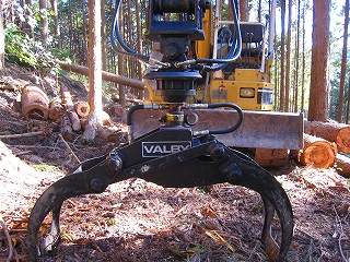 e0002820_6285314.jpg