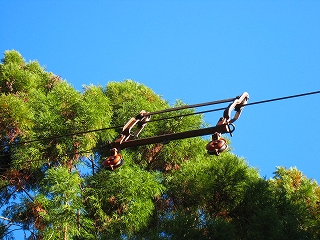 e0002820_6393922.jpg
