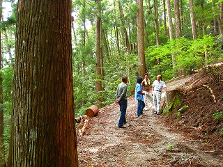 e0002820_642524.jpg