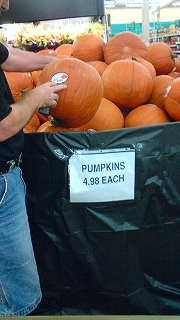 f0037623_2344110.jpg