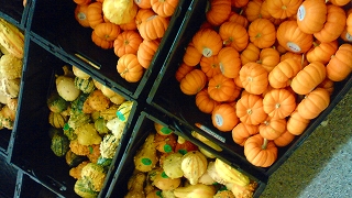 f0037623_2352518.jpg