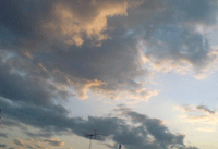 a0062324_1971254.gif
