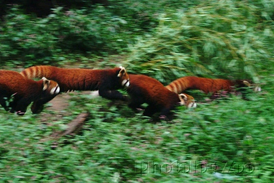 b0027825_14441141.jpg