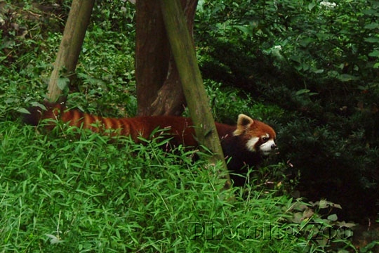 b0027825_144531.jpg