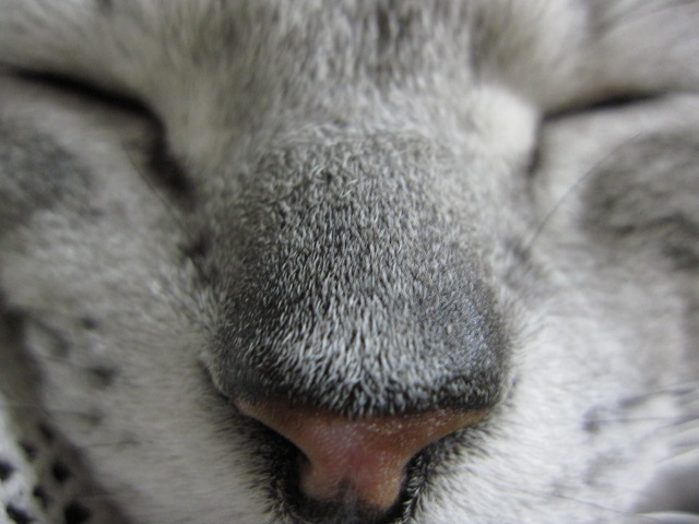 e0191826_016131.jpg