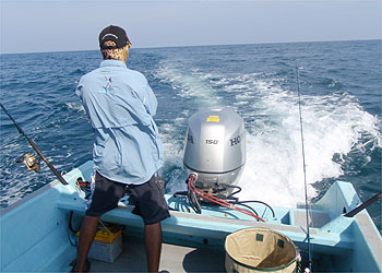 a0050227_234013100.jpg