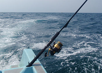 a0050227_2340567.jpg