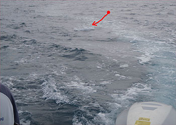 a0050227_234217.jpg