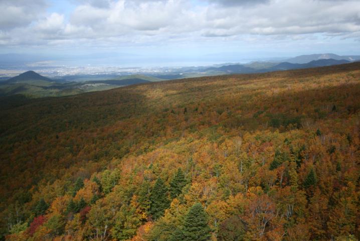 f0055228_19104539.jpg
