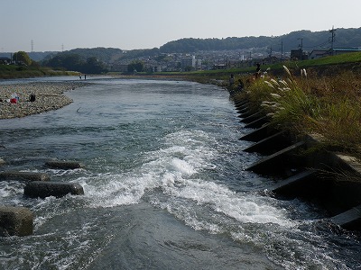 d0137029_21523015.jpg