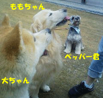 f0008935_3585468.gif