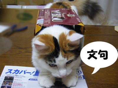 f0008935_415189.gif