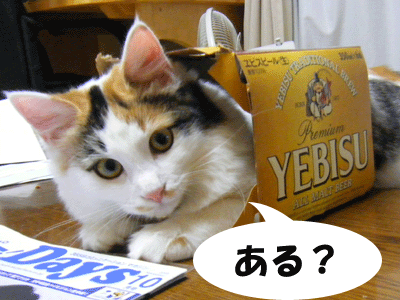 f0008935_4152941.gif