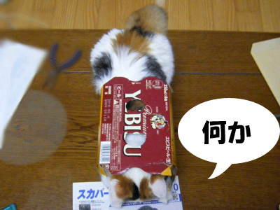 f0008935_415792.gif