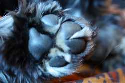 c0153740_2523358.jpg