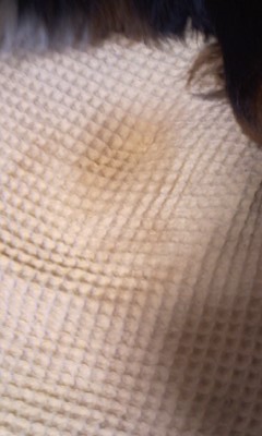 c0193042_8274914.jpg