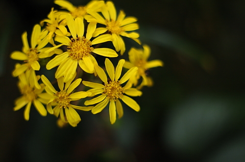 a0024250_0151067.jpg