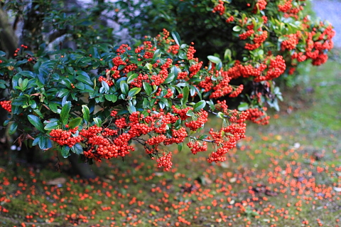 a0024250_0153052.jpg