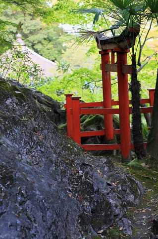 a0024250_23215181.jpg