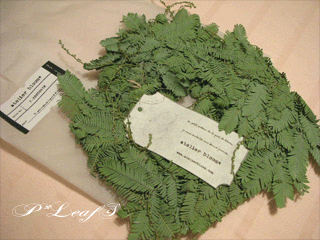 c0176651_17471481.gif