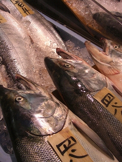 f0009451_21322943.jpg