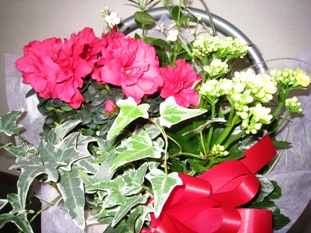 f0202151_18474982.jpg