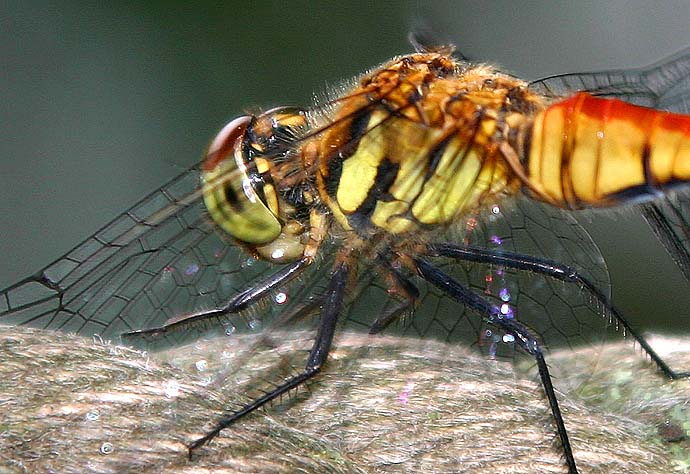d0146854_21493055.jpg