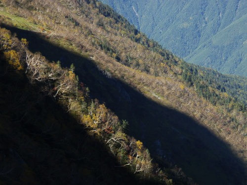 b0050067_01047.jpg