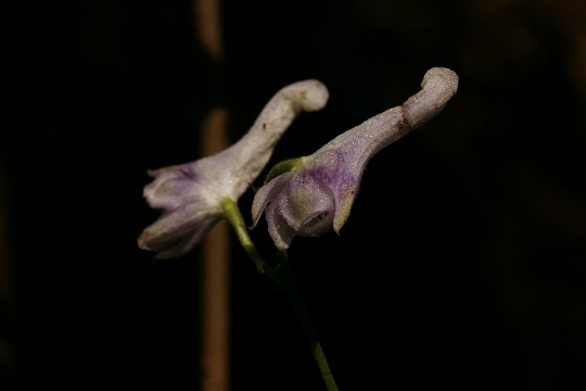 e0054067_0265783.jpg