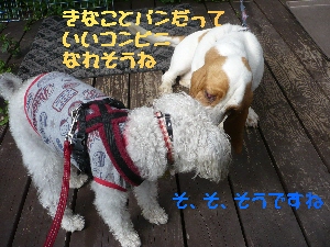 f0203369_10543923.jpg