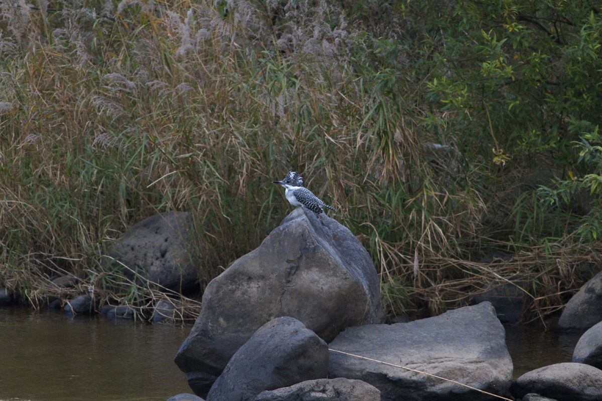 b0180476_21124450.jpg