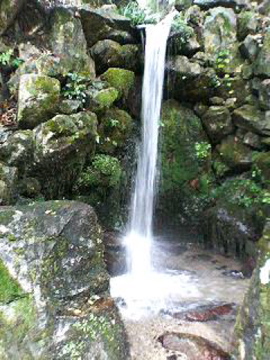 f0054677_8535783.jpg