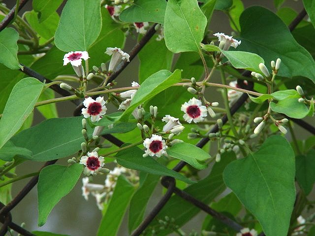 f0104277_6562890.jpg