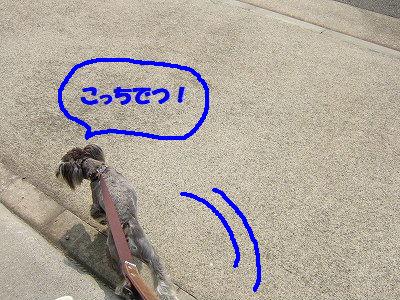 b0143879_12171661.jpg