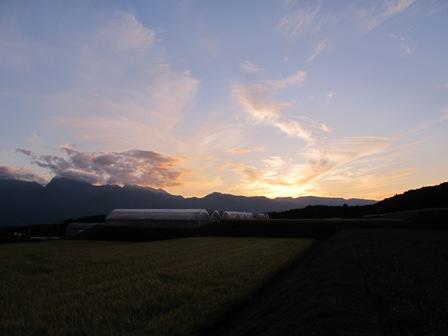 a0091680_1041228.jpg