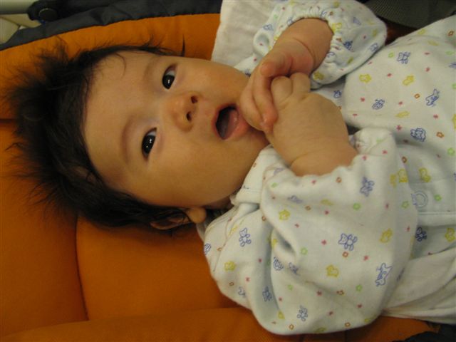 c0064389_1094970.jpg