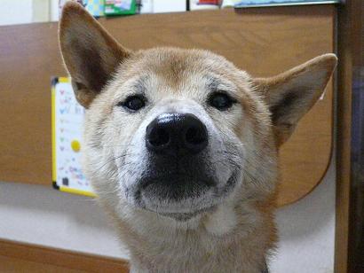 c0123890_2015661.jpg