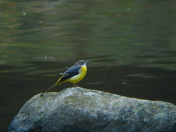c0213690_5182797.jpg