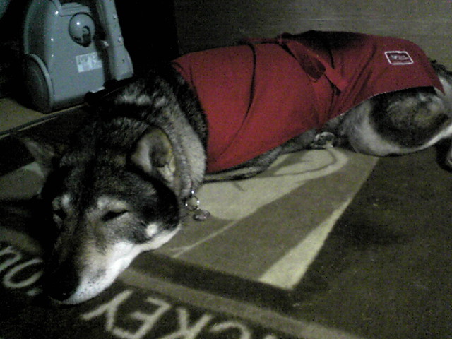 f0079202_20141021.jpg