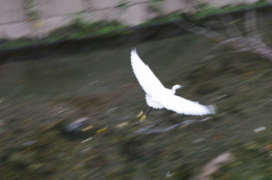 c0187503_17444720.jpg